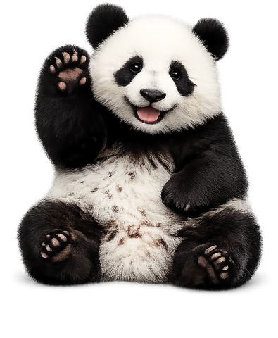 Панда приветствует новых игроков Panda Casino
